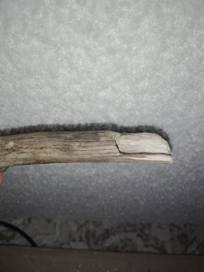 [Thumbnail for IMG_20260115_224605684.jpg]