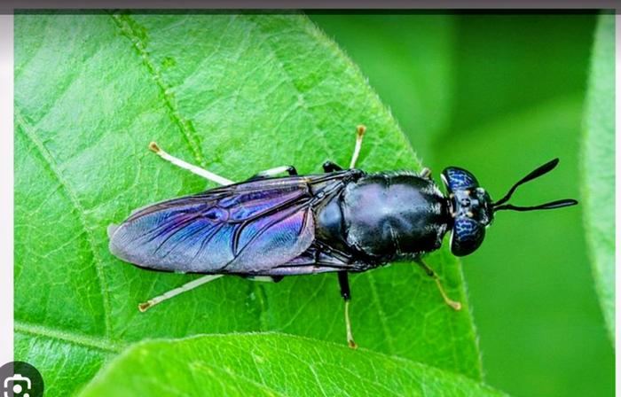 [Thumbnail for Screenshot_20260119_183527_Photos-2.jpg]