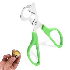 [Thumbnail for Quail-Egg-Scissors.jpg]