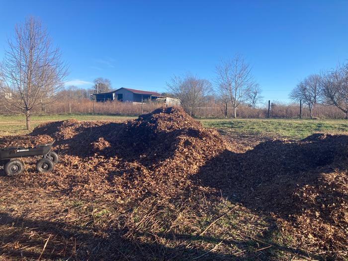 [Thumbnail for IMG_2448.jpeg]