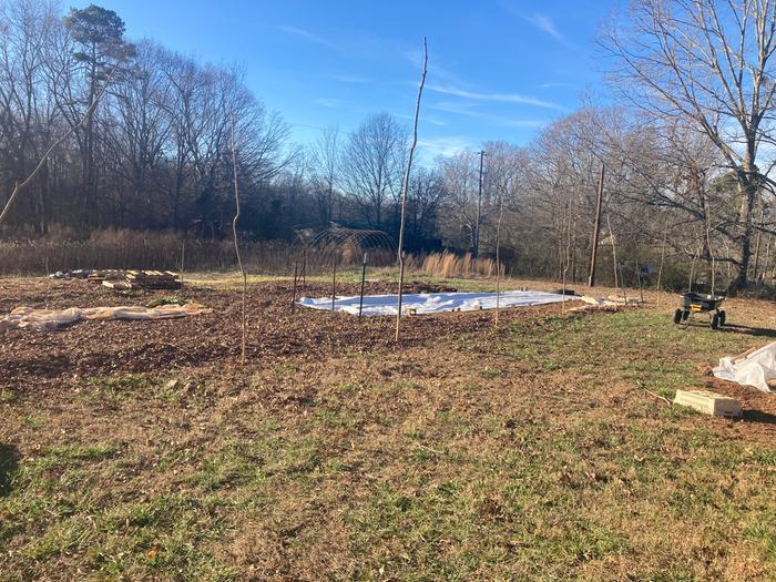 [Thumbnail for IMG_2449.jpeg]