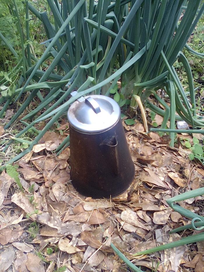 [Thumbnail for IMG_20260411_141220.jpeg]