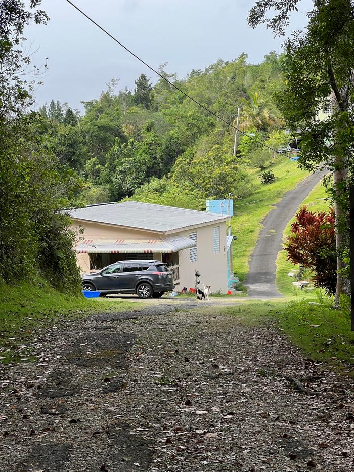 [Thumbnail for IMG_7223.jpeg]