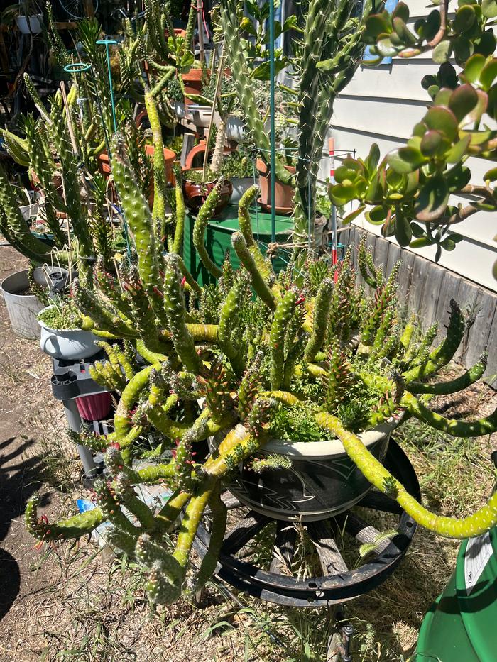 [Thumbnail for IMG_9284.jpeg]