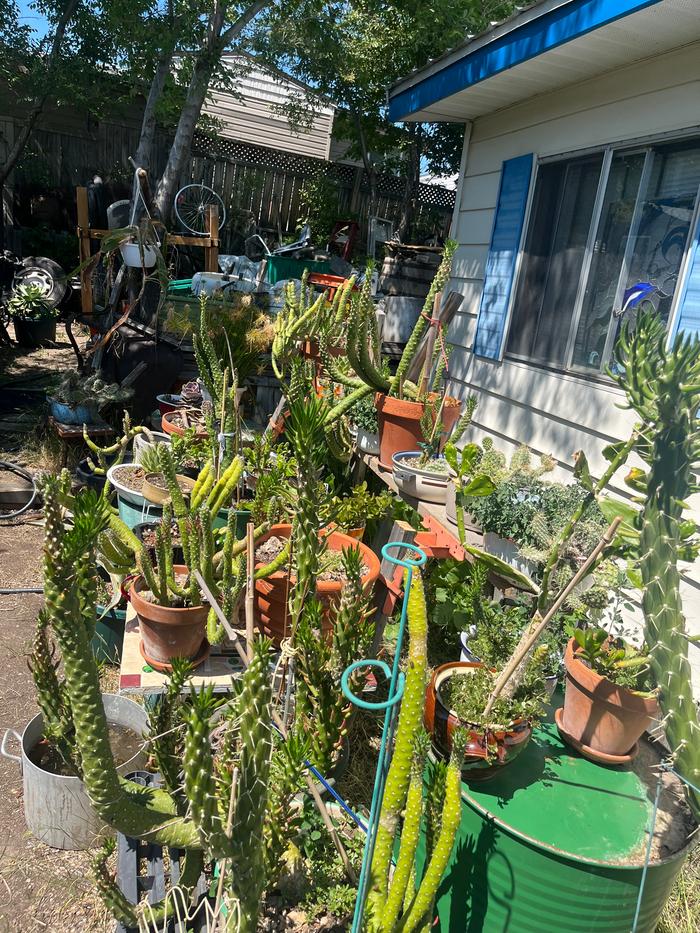 [Thumbnail for IMG_9286.jpeg]