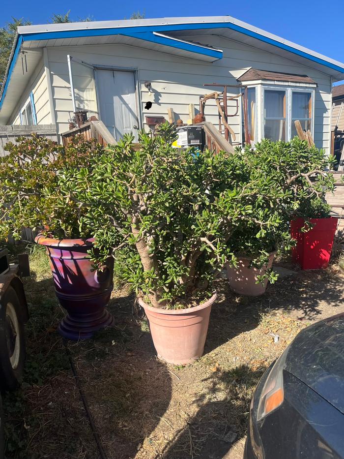 [Thumbnail for IMG_9566.jpeg]