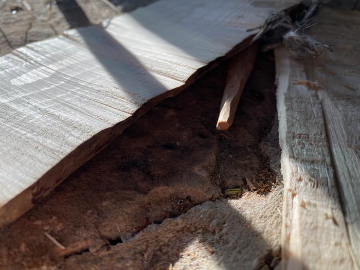 [Thumbnail for IMG_1479.jpeg]