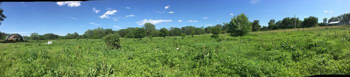 [Thumbnail for LandSm.jpg]