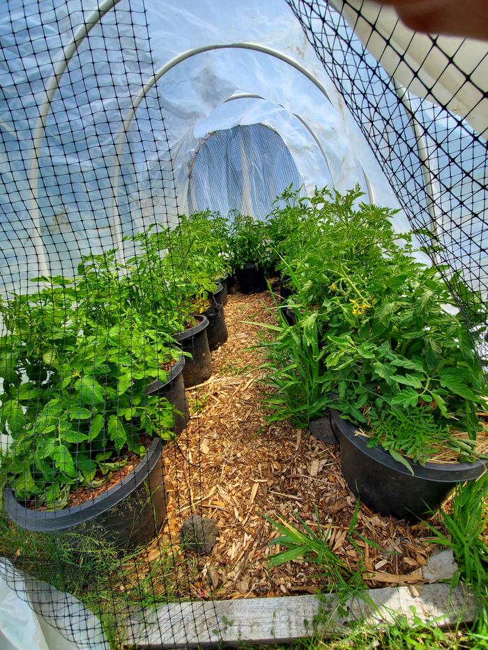 [Thumbnail for 20250623_122112.jpg]