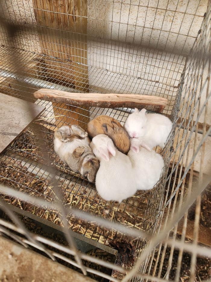 [Thumbnail for 20250326_074609.jpg]