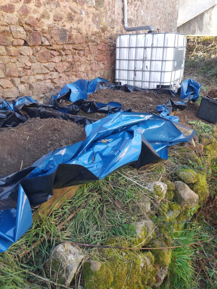 [Thumbnail for WhatsApp-Image-2026-01-22-at-08.31.55-(1).jpeg]