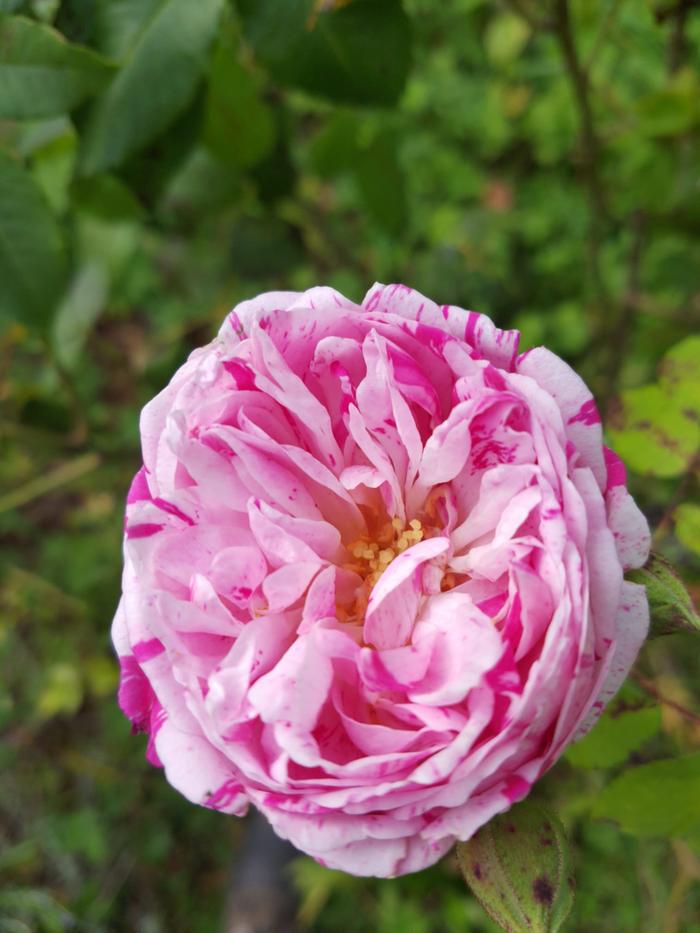 [Thumbnail for WhatsApp-Image-2026-01-23-at-17.47.07.jpeg]