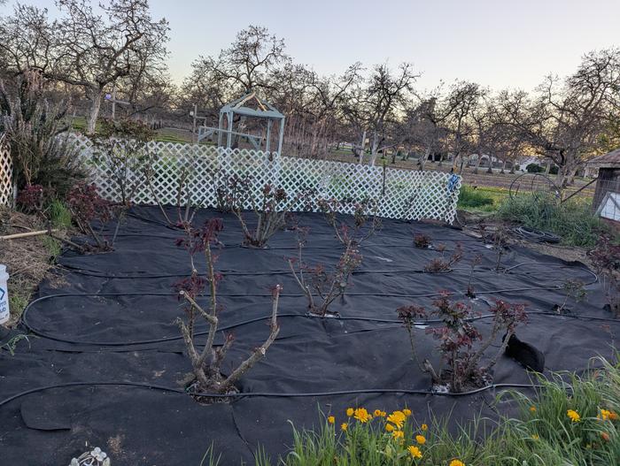 [Thumbnail for PXL_20260307_014934713.jpg]