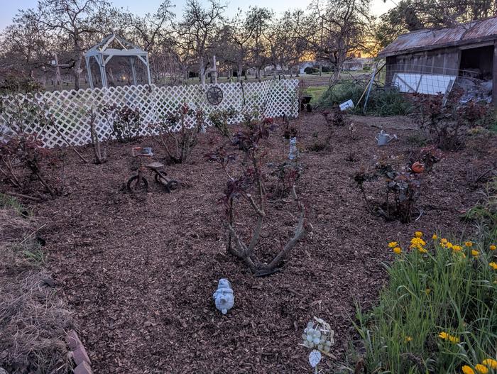 [Thumbnail for PXL_20260310_022024100.jpg]