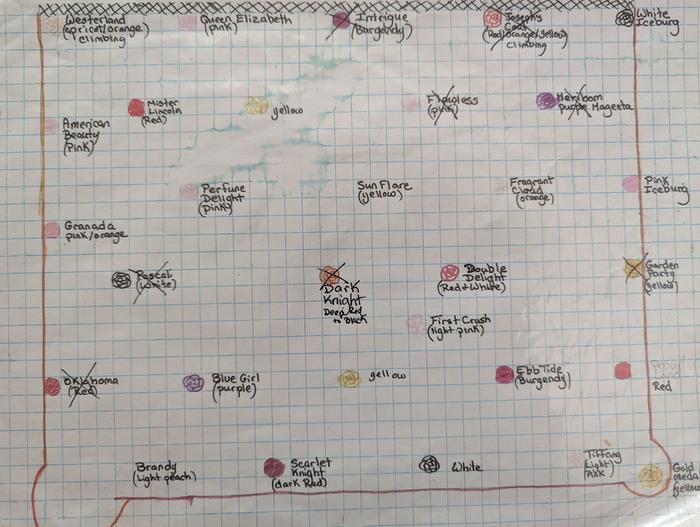 [Thumbnail for PXL_20260410_232607064.jpg]