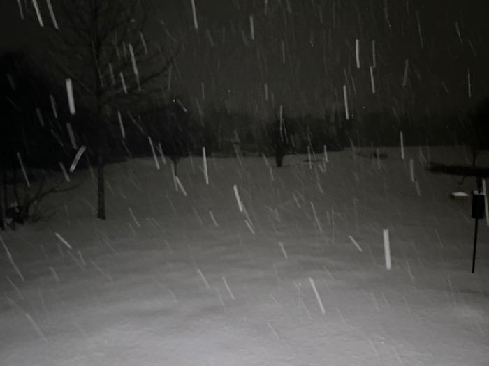 Even More Falling Snow!!