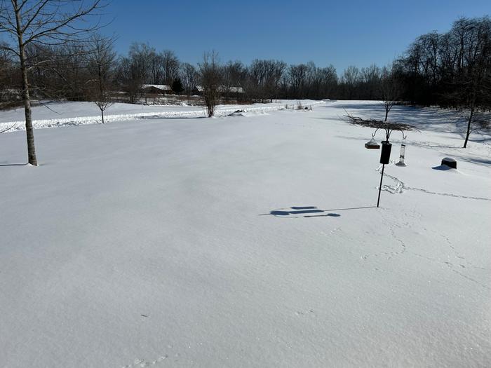 Snow scape--a rare sight in Southern Illinois