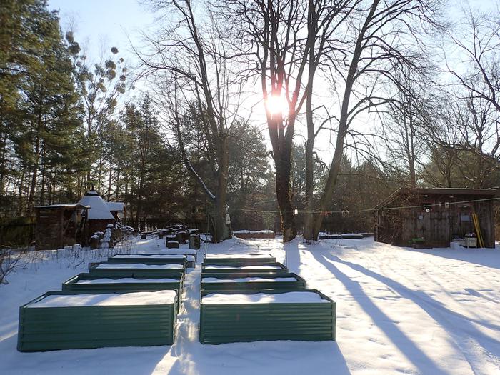 Raised beds sleeping under some snow.