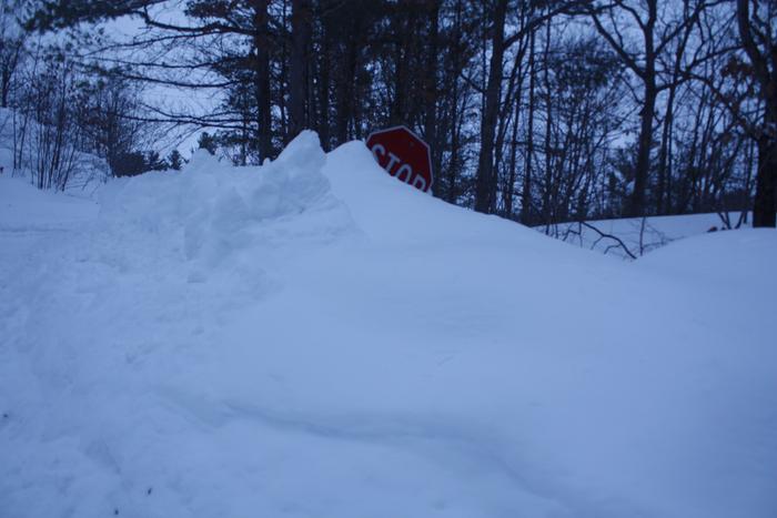 [Thumbnail for IMG_3171.JPG]