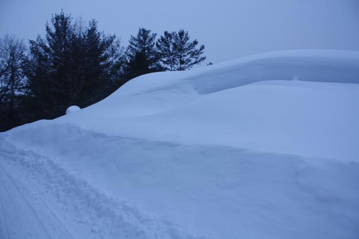 [Thumbnail for IMG_3162.JPG]