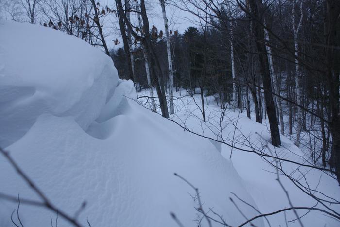 [Thumbnail for IMG_3100.JPG]