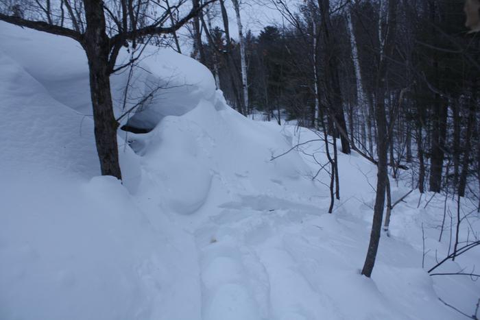 [Thumbnail for IMG_3093.JPG]