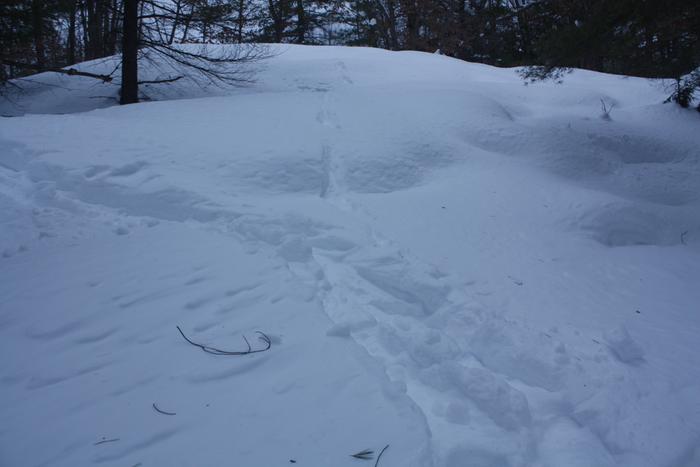 [Thumbnail for IMG_3010.JPG]