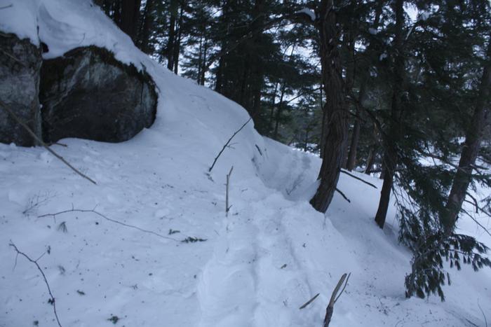 [Thumbnail for IMG_2983.JPG]