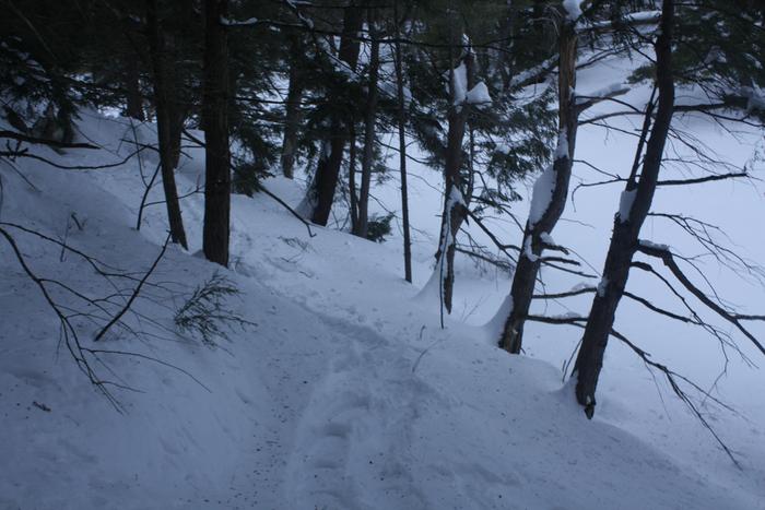 [Thumbnail for IMG_2968.JPG]