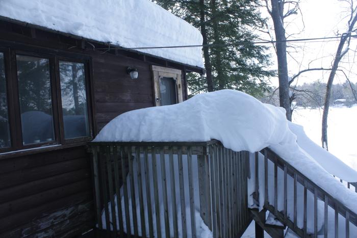 [Thumbnail for IMG_2879.JPG]