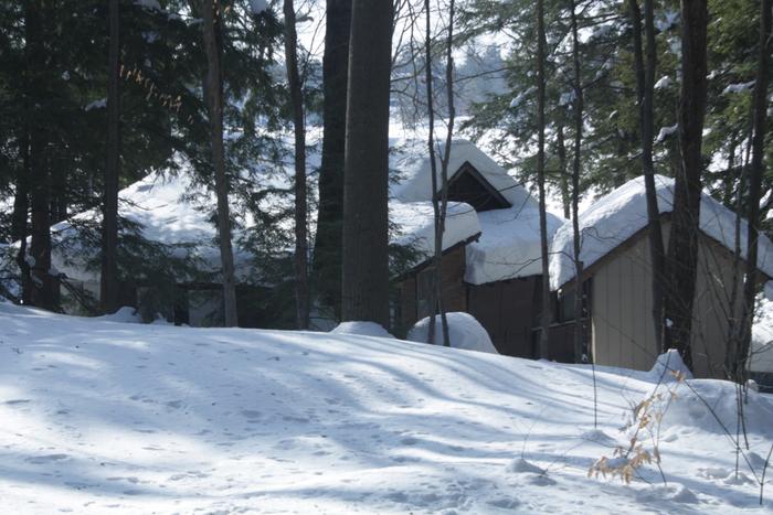 [Thumbnail for IMG_2865.JPG]