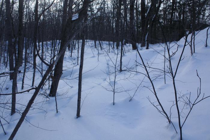 [Thumbnail for IMG_2809.JPG]