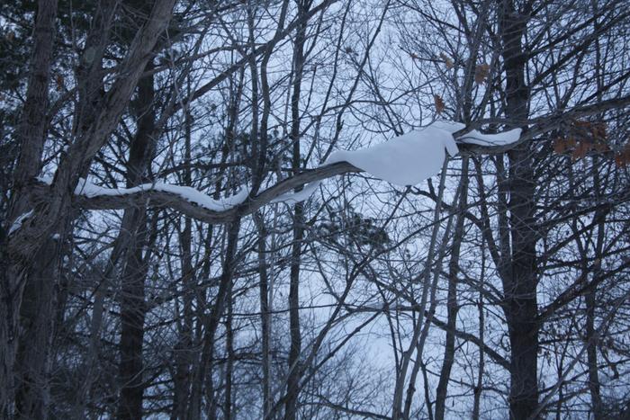 [Thumbnail for IMG_2777.JPG]