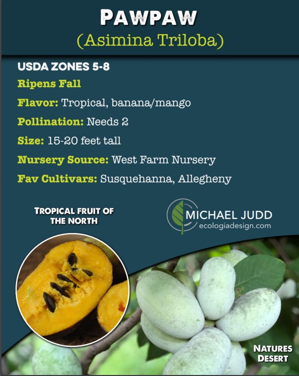 [Thumbnail for PawPaw.jpg]