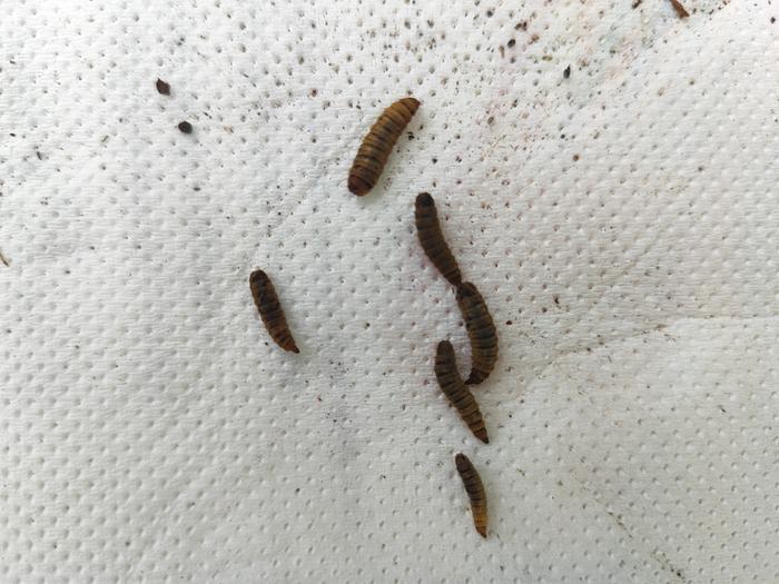 [Thumbnail for IMG_20260129_171513.jpg]