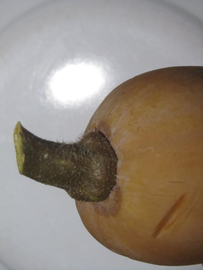 [Thumbnail for IMG_0751.JPG]