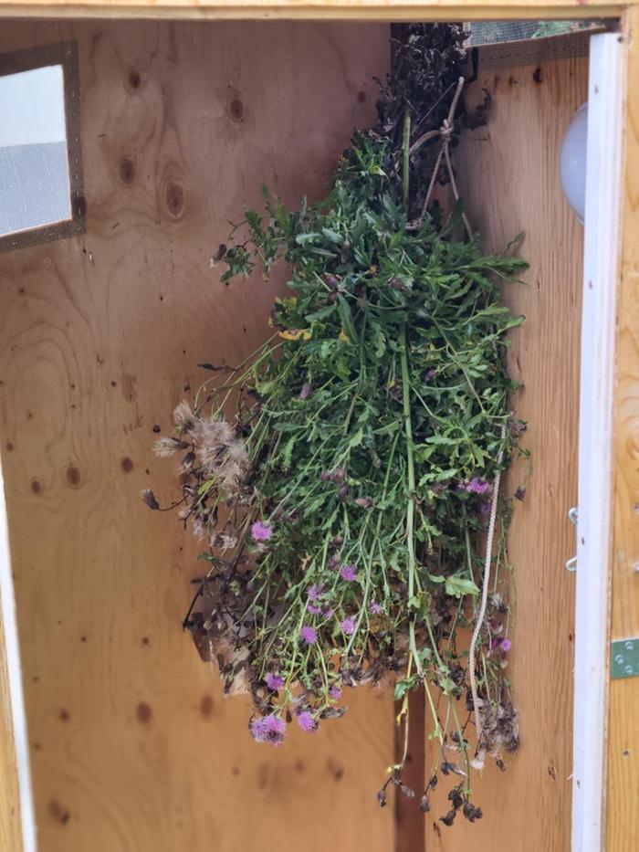 Hung here for a couple months