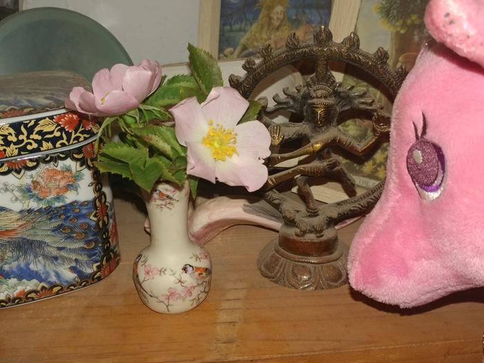 [Thumbnail for rosa-rosa.jpg]