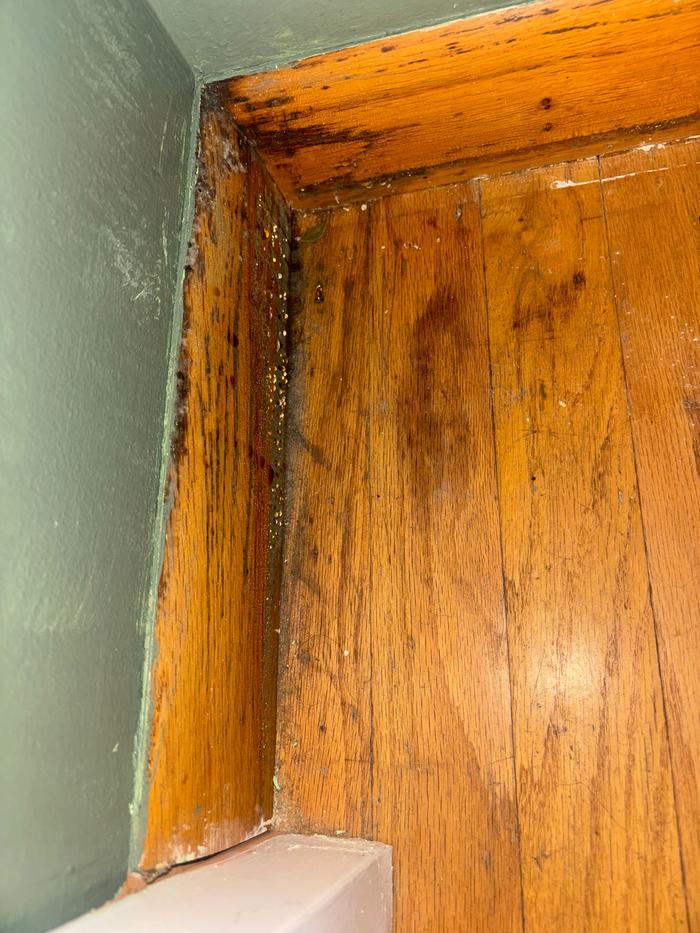 [Thumbnail for IMG_8052.jpeg]