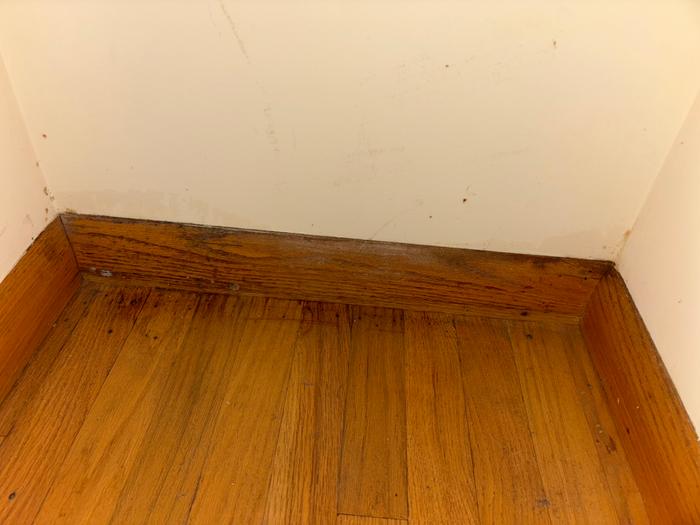 [Thumbnail for IMG_8056.jpeg]