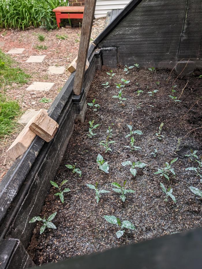 [Thumbnail for PXL_20240526_232041895.jpg]