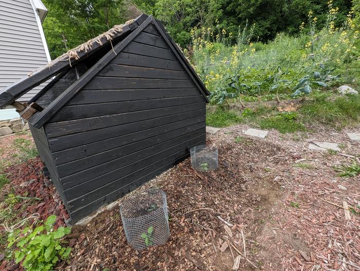 [Thumbnail for PXL_20240605_230902615.jpg]