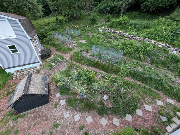 [Thumbnail for PXL_20240605_223111717.jpg]