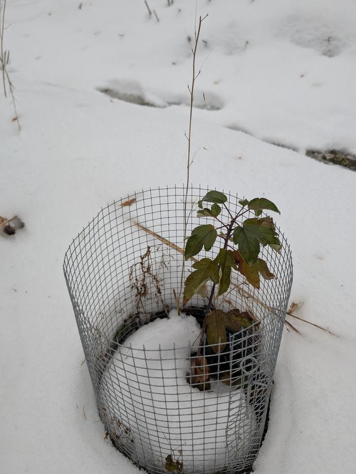 [Thumbnail for PXL_20241209_184816269.jpg]