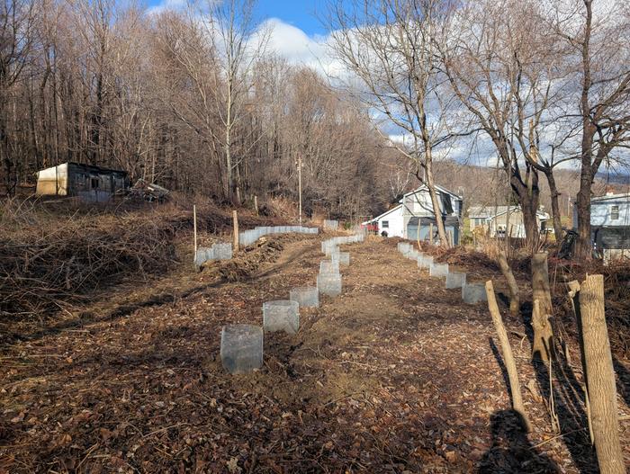 [Thumbnail for PXL_20241230_165314734.jpg]