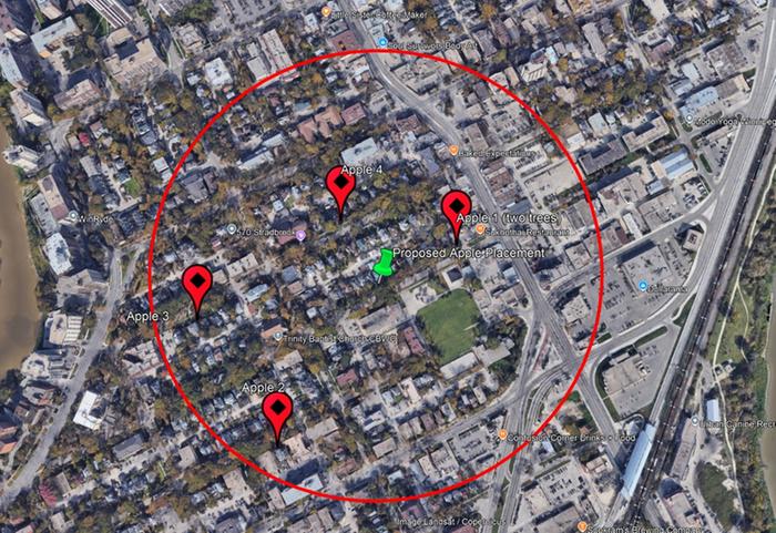 Apple trees noted within pollinating distance of home