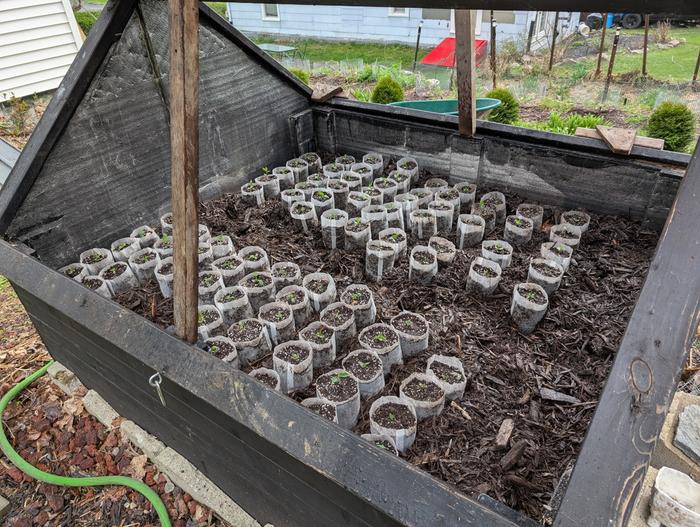 [Thumbnail for PXL_20250427_133333049.jpg]