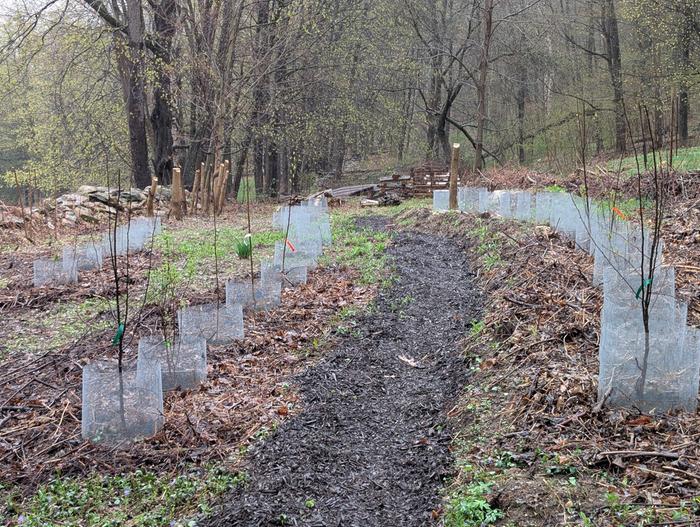 [Thumbnail for PXL_20250426_135829711.jpg]