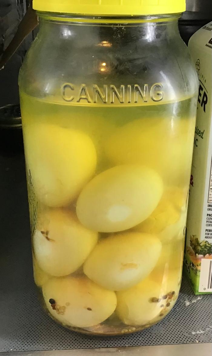 Pickled eggs