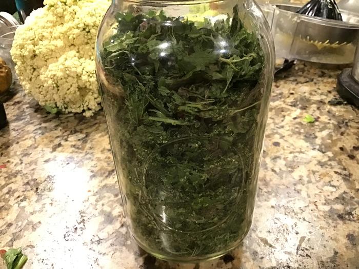 Dried nettles